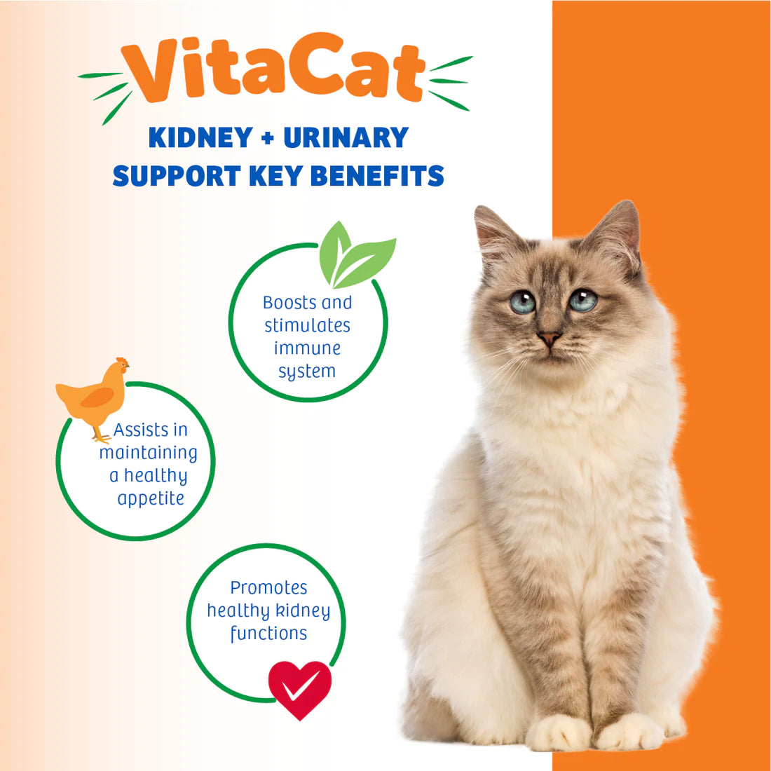 All About Rehmannia: the Magical Herb in Cat Kidney Supplements