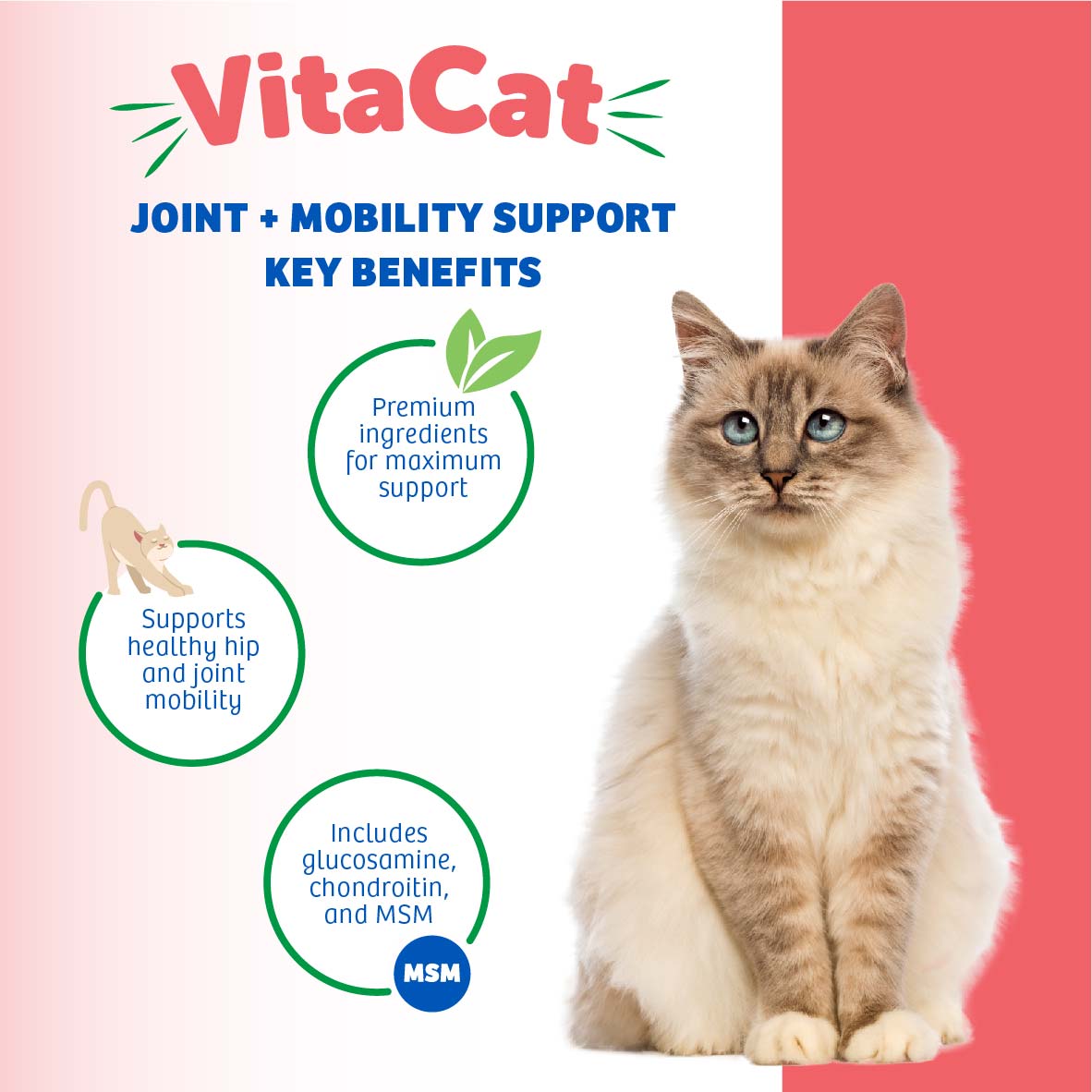 joint & mobility support cat chews natural supplement for cat