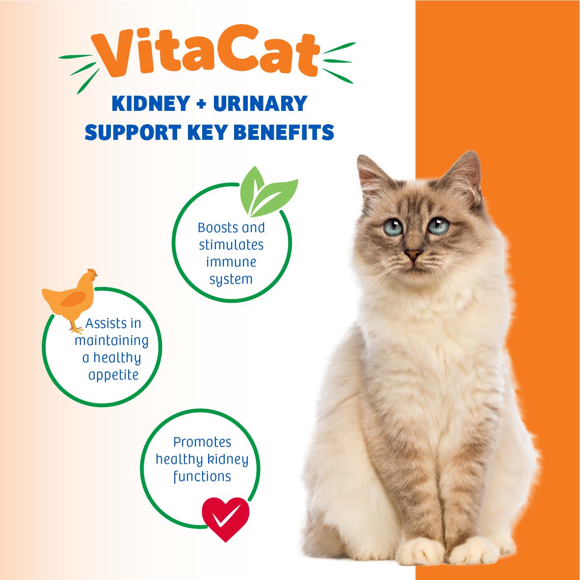 natural supplement for feline kidney health