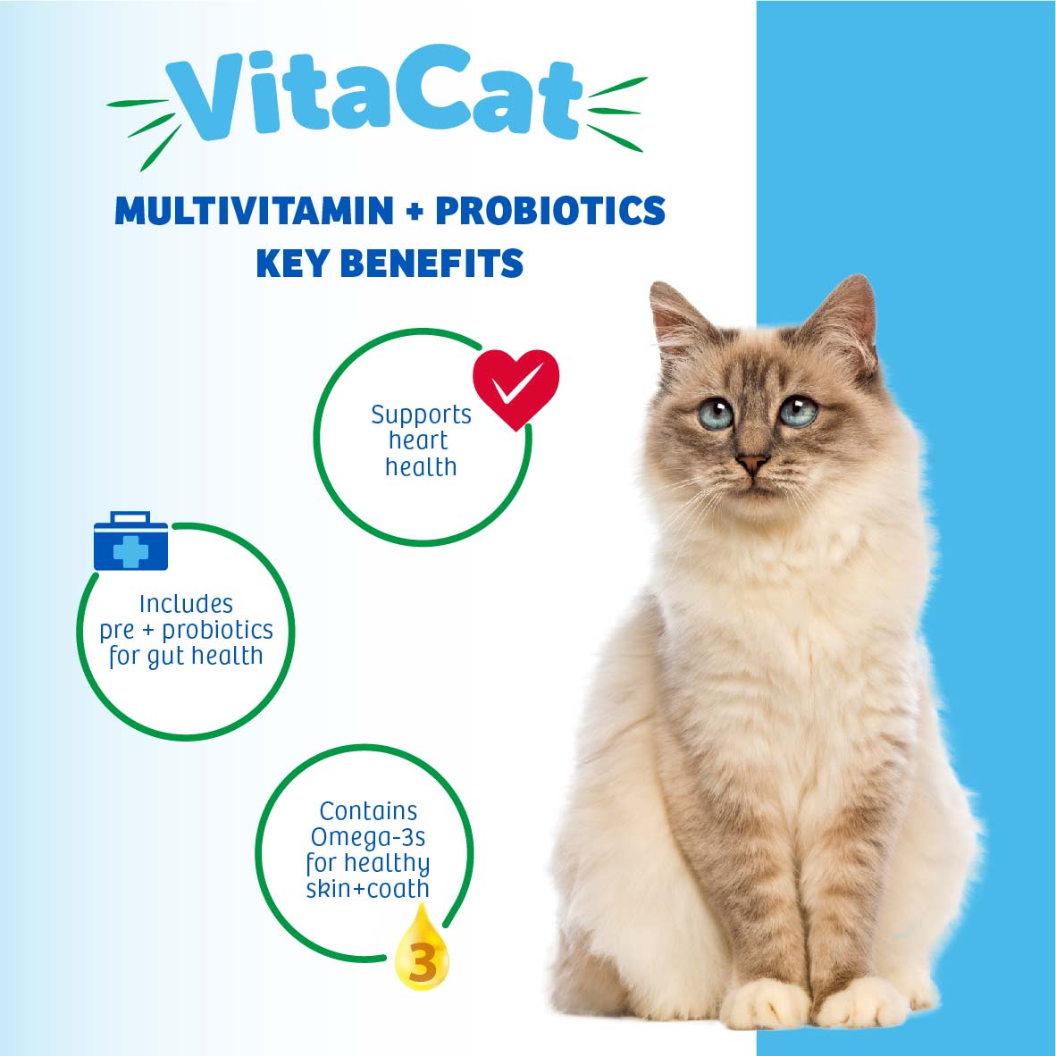 multivitamin & probiotics cat chews natural supplement